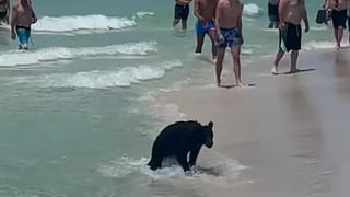 Viral News: నాన్‌ వెజ్‌తో నయా పానీపూరీ.. చికెన్ నుంచి చేపల వరకు ఏందంటే అది..