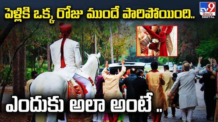 పెళ్లికి ఒక్క రోజు ముందే పారిపోయింది.. ఎందుకు అలా అంటే ?? పెళ్లికి ఒక్క రోజు ముందే పారిపోయింది.. ఎందుకు అలా అంటే ??