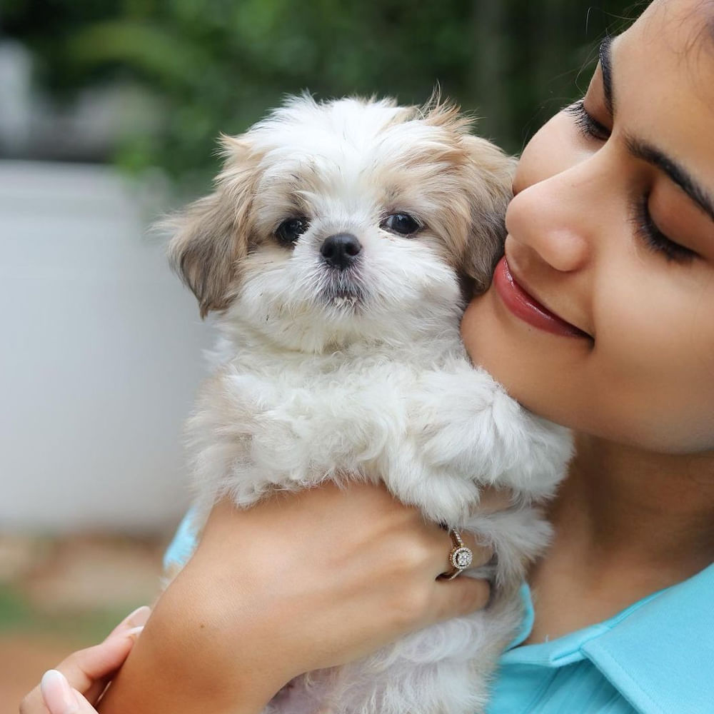 యూట్యూబ్ లో షార్ట్ ఫిలిమ్స్, కవర్ సాంగ్స్ చేస్తూ మంచి గుర్తింపు తెచ్చుకుంది బన్నీవాక్స్. ఈ భామ అసలు పేరు వర్షిన్నె వర్మ. 'ఓ పిల్ల', 'వెన్నెల' వంటి కవర్ సాంగ్స్ తో ఆకట్టుకుంది ఈ ముద్దుగుమ్మ. 2020లో విద్యార్థి చిత్రంతో తెలుగు తెరకు పరిచయం అయింది ఈ అమ్మడు. ఇటీవల రిచి గాడి పెళ్లి చిత్రంలో కనిపించింది ఈ క్యూటీ. తాజా సోషల్ మీడియాలో ఈ బ్యూటీ షేర్ చేసిన ఫోటోలకు కుర్రాళ్లు తెగ లైక్స్ కొడుతున్నారు.