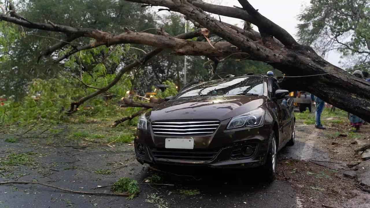 ఉష్ణోగ్రత: పర్వాతలపై వాతావరణం ఒక్కోసారి ఒక్కోలా ఉంటుంది. అలాంటి పరిస్థితిలో వాతావరణానికి సంబంధించి ఎప్పటికప్పుడు అప్డేట్స్ తెలుసుకుంటూ టూర్ ప్లాన్ చేసుకోవాలి. లేదంటే మార్గమధ్యలో భారీ వర్షం కురిసే ఛాన్స్ ఉండొచ్చు, తుపాను మధ్యలో చిక్కుకునే ప్రమాదం కూడా ఉంటుంది.