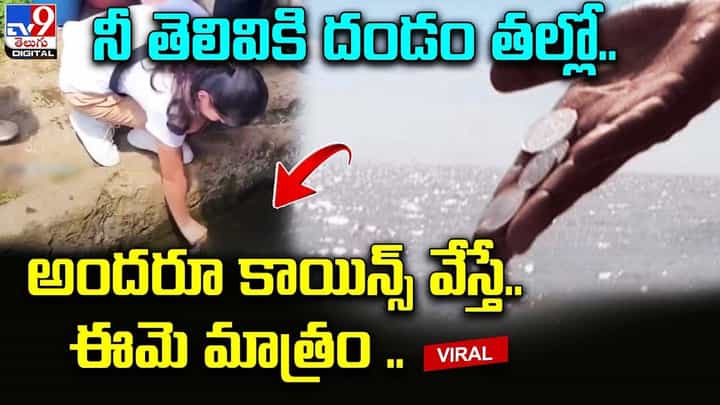 నీ తెలివికి దండం తల్లో.. కొలనులో అందరూ కాయిన్స్ వేస్తే.. అమ్మాయిగారు మాత్రం నీ తెలివికి దండం తల్లో.. కొలనులో అందరూ కాయిన్స్ వేస్తే.. అమ్మాయిగారు మాత్రం
