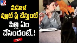 నాన్‌వెజ్‌ గోల్‌ గప్పా.. పానీపూరీ ప్రియులకు నయా టేస్ట్‌..