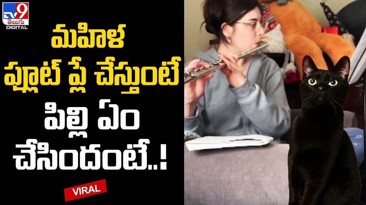 మ‌హిళ ఫ్లూట్ ప్లే చేస్తుంటే పిల్లి ఏం చేసిందంటే ??