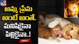 Viral: కనీవినీ ఎరుగని సెక్స్ ఛాంపియన్‌షిప్.. 16 దశల్లో కాంపిటీషన్.. ఎక్కడ? ఎప్పుడు? వివరాలివే..