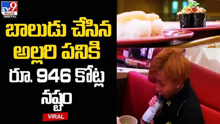 బాలుడు చేసిన అల్లరి పనికి రూ. 946 కోట్ల నష్టం !! బాలుడు చేసిన అల్లరి పనికి రూ. 946 కోట్ల నష్టం !!