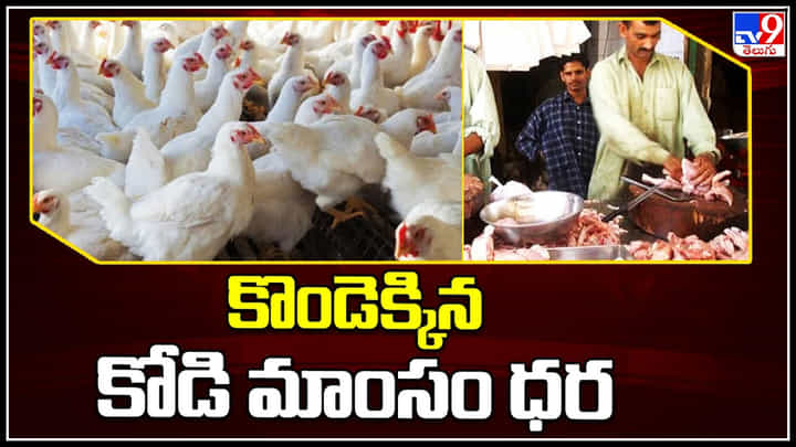 Chicken Price: తెలుగురాష్ట్రాల్లో కొండెక్కిన కోడి మాంసం ధర.. సామాన్యుడు కొనడానికేనా..? Chicken Price: తెలుగురాష్ట్రాల్లో కొండెక్కిన కోడి మాంసం ధర.. సామాన్యుడు కొనడానికేనా..?