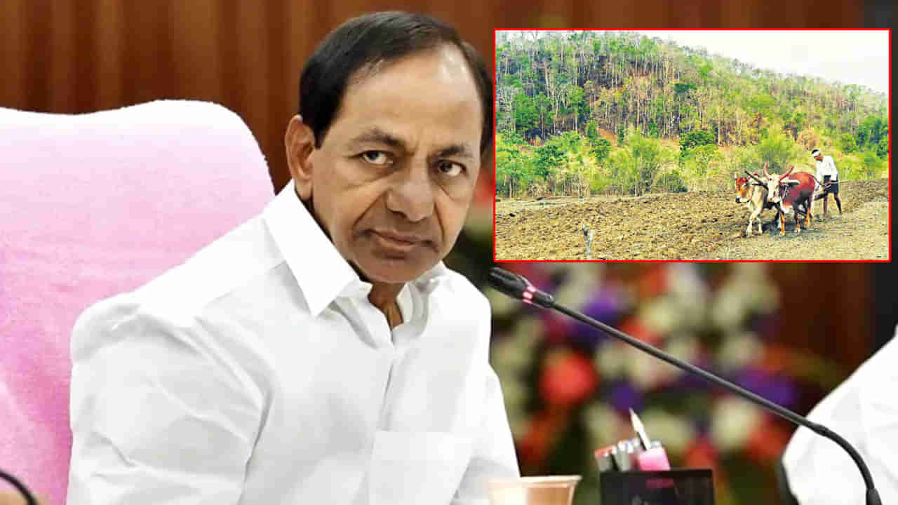 Telangana: ఆదివాసుల్లో పండుగ వాతావరణం.. ఈరోజే పోడుభూముల పట్టాల పంపిణీ కార్యక్రమం