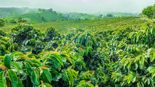 Multiple Hearts: ఒకటి కంటే ఎక్కువ జీవులు కలిగిన విచిత్ర జీవులు.. వివరాలివే..