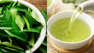 Weight Loss Tips: పాస్తా తినడం ద్వారా కూడా త్వరగా బరువు తగ్గవచ్చు.. తయారుచేసే విధానంలో ఈ చిన్న మార్పులు చేస్తే చాలు..