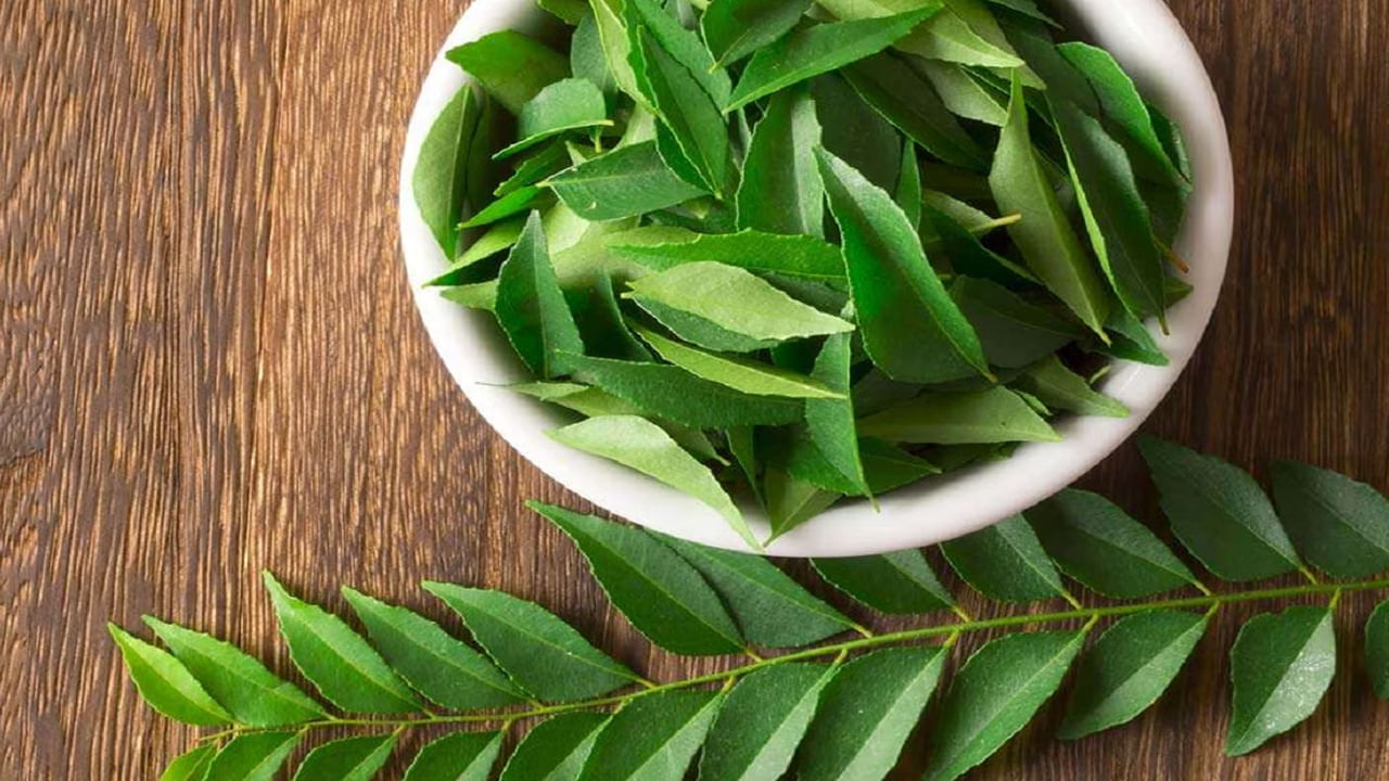 Curry Leaves Health Benefits : కరివేపాకుతో ఎన్నో ఎన్నో ఉపయోగాలు.. తెలిస్తే షాక్ అవుతారు!!