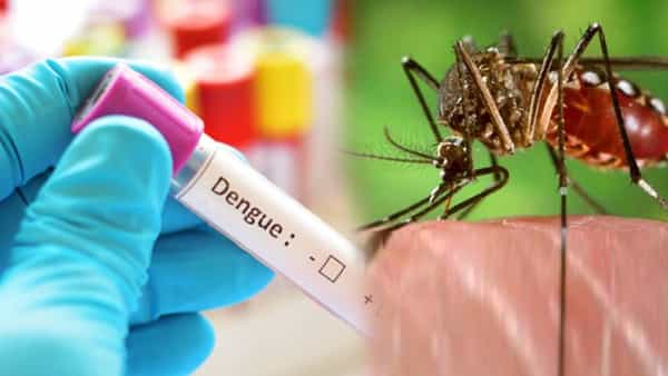 Dengue Fever: వర్షాలకు ముందే తెలంగాణలో ప్రబలుతోన్న డెంగ్యూ జ్వరాలు.. వ్యాధి లక్షణాలు, జాగ్రత్తల గురించి తెలుసుకోండి..