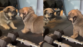 Viral Video: పాముతో బుడతడి ఆటలు.. పూజగదిలో కూర్చున్నోళ్లంతా హడల్.. వైరల్ అవుతున్న షాకింగ్ వీడియో..