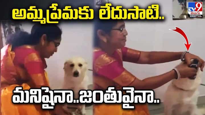అమ్మప్రేమకు లేదుసాటి.. మనిషైనా.. జంతువైనా.. నెట్టింట వైరల్ అవుతున్న క్యూట్ వీడియో అమ్మప్రేమకు లేదుసాటి.. మనిషైనా.. జంతువైనా.. నెట్టింట వైరల్ అవుతున్న క్యూట్ వీడియో