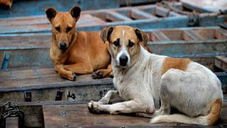 CM KCR: అమరవీరుల త్యాగాలు నిత్యం స్మరించుకునేలా నిర్మాణం.. అమరజ్యోతిని ప్రారంభించిన సీఎం కేసీఆర్‌