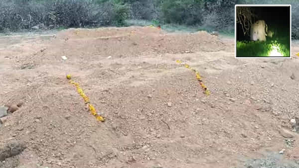 Andhra Pradesh: చిత్తూరులో మృతి చెందిన 3 ఏనుగుల ఖననం.. చూసేందుకు తరలివచ్చిన ఏనుగుల మంద..
