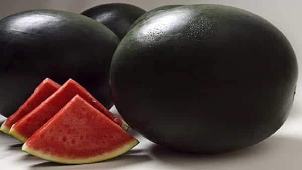 Most Expensive Watermelon: ప్రపంచంలోనే అత్యంత ఖరీదైన పుచ్చకాయ..ధర, ప్రత్యేకతలు తెలిస్తే నోరెళ్ల బెట్టాల్సిందే..