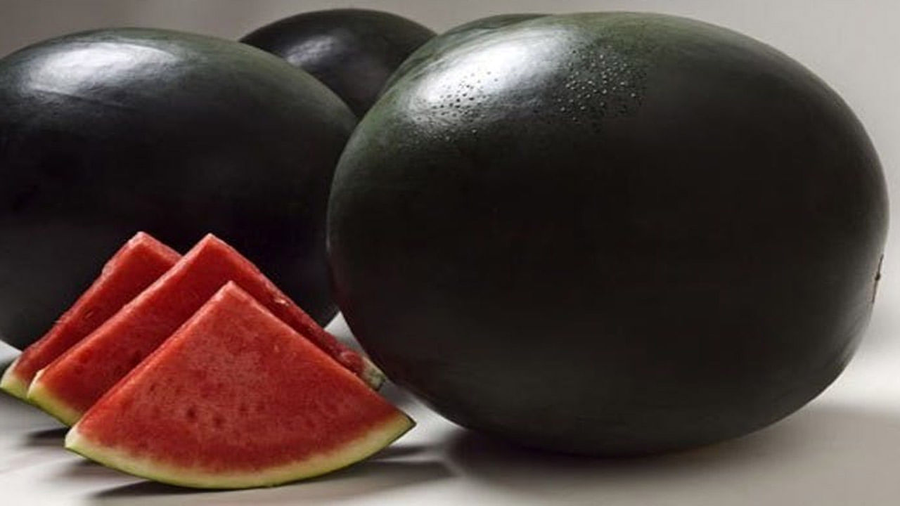 Most Expensive Watermelon: ప్రపంచంలోనే అత్యంత ఖరీదైన పుచ్చకాయ..ధర, ప్రత్యేకతలు తెలిస్తే నోరెళ్ల బెట్టాల్సిందే..