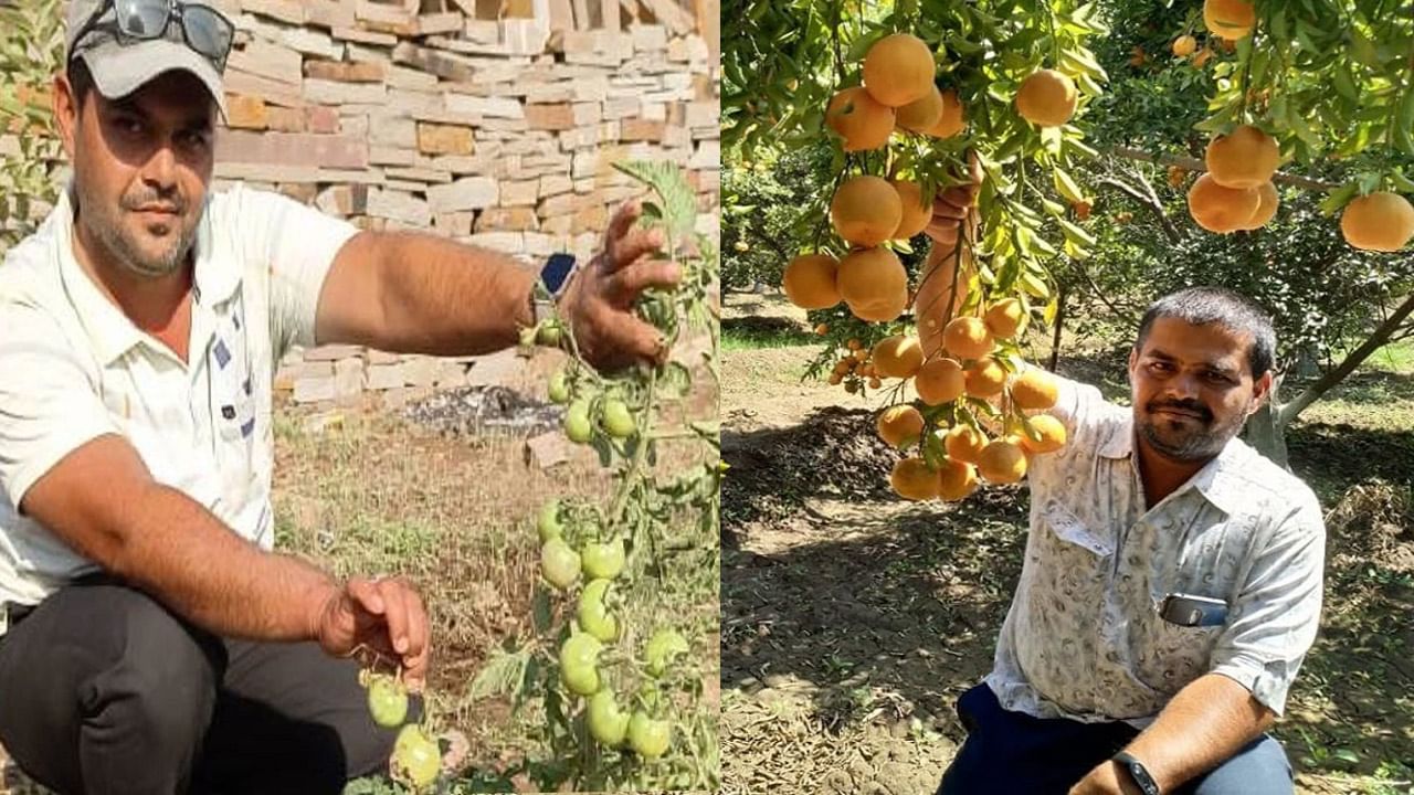 Farmer Success Story: చదివింది 10 వ తరగతి.. సేంద్రీయ వ్యవసాయంతో ఏటా రూ. 70 లక్షల ఆదాయం.. యువకుడి సక్సెస్ స్టోరీ..