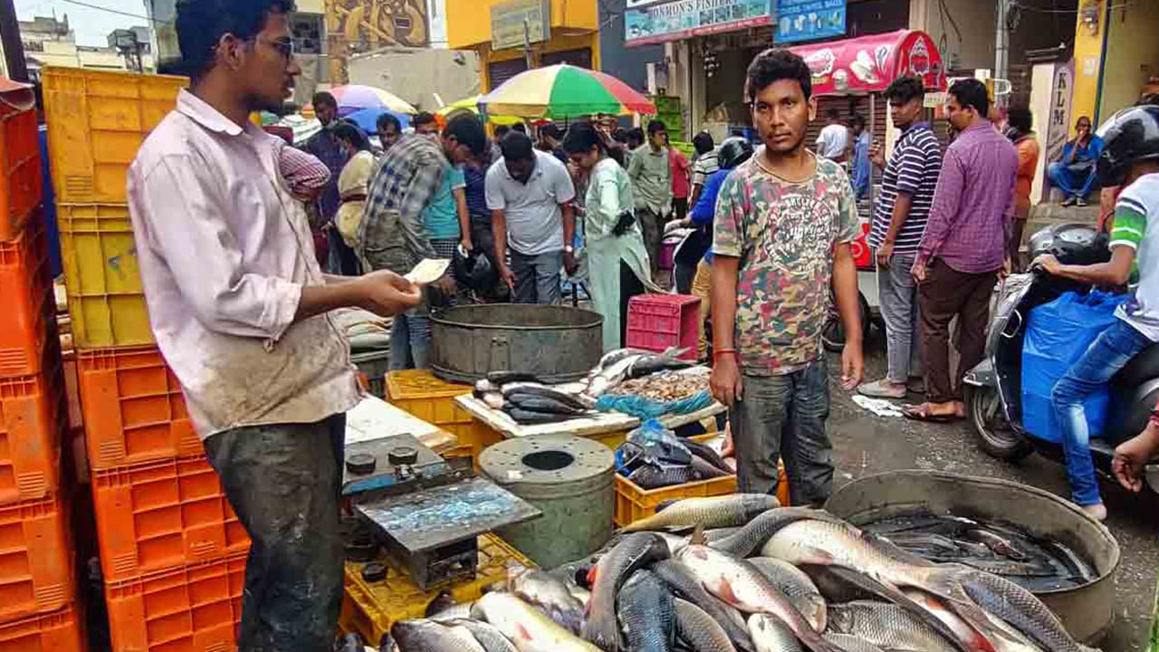 మృగశిర కార్తెను పురస్కరించుకుని చేపలకు భారీ డిమాండ్ ఏర్పడింది. గురువారం హైదరాబాద్లోని చేపల మార్కెట్లు వినియోగదారులతో కిక్కిరిశాయి. మార్కెట్ వర్గాల అంచనా ప్రకారం గ్రేటర్ వ్యాప్తంగా సుమారు 3 లక్షల కిలోల చేపల విక్రయాలు జరిగినట్లు సమాచారం.