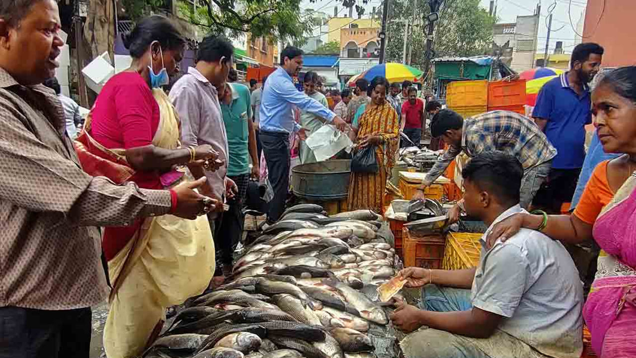 మృగశిర కార్తె ఎఫెక్ట్తో కొర్రమీను ధరలు విపరీతంగా పెరిగాయి. సాధారణ రోజుల్లో ఈ చేపలు కిలోకు రూ.320 పలుకుతుండగా.. ప్రస్తుతం రూ.500 నుంచి రూ. 650 వరకు విక్రయించారు. బొచ్చ, రవ్వు చేపలను కిలో రూ.120 నుంచి రూ. 150కి, పాంప్లేట్ రూ. 90–120 విక్రయించారు.