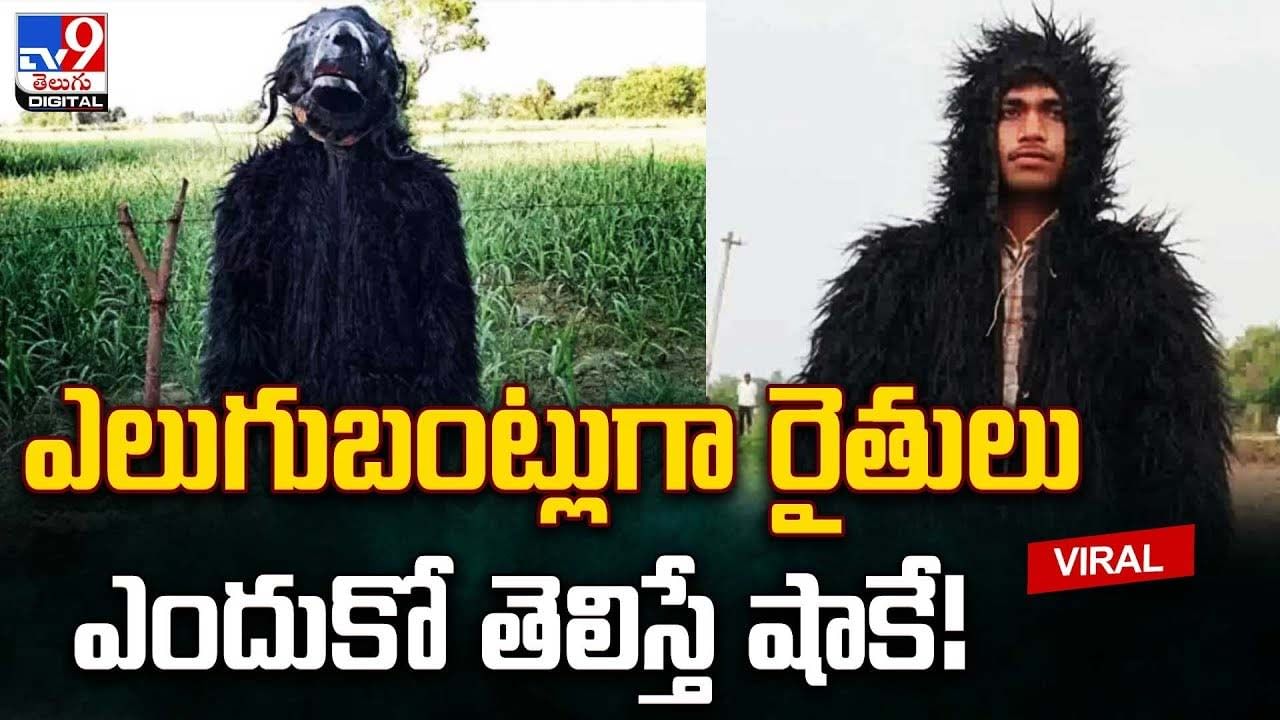 Viral Video: ఎలుగుబంట్లుగా మారుతున్న రైతులు.. నెట్టింట వైరల్ అవుతున్న వీడియో
