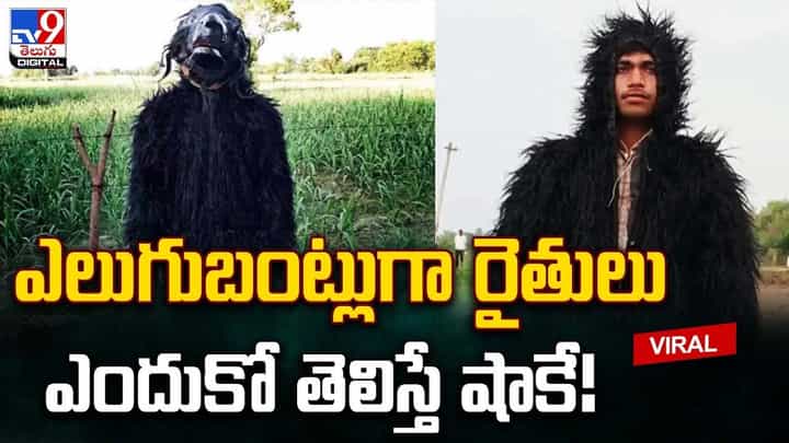 Viral Video: ఎలుగుబంట్లుగా మారుతున్న రైతులు.. నెట్టింట వైరల్ అవుతున్న వీడియో Viral Video: ఎలుగుబంట్లుగా మారుతున్న రైతులు.. నెట్టింట వైరల్ అవుతున్న వీడియో