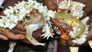 YCP vs JSP: స్థిరత్వమే లేదు.. ప్రభుత్వాన్ని స్థాపిస్తాడట.. పవన్ కల్యాణ్‌పై వైసీపీ నేతల ఫైర్..