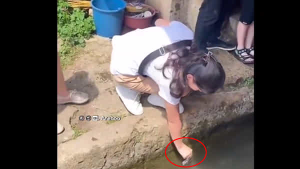 Funny Video: నీ తెలివికి దండం తల్లో.. కొలనులో అందరూ కాయిన్స్ వేస్తే.. అమ్మాయిగారు డెబిట్ కార్డు స్వైప్ చేశారు..!