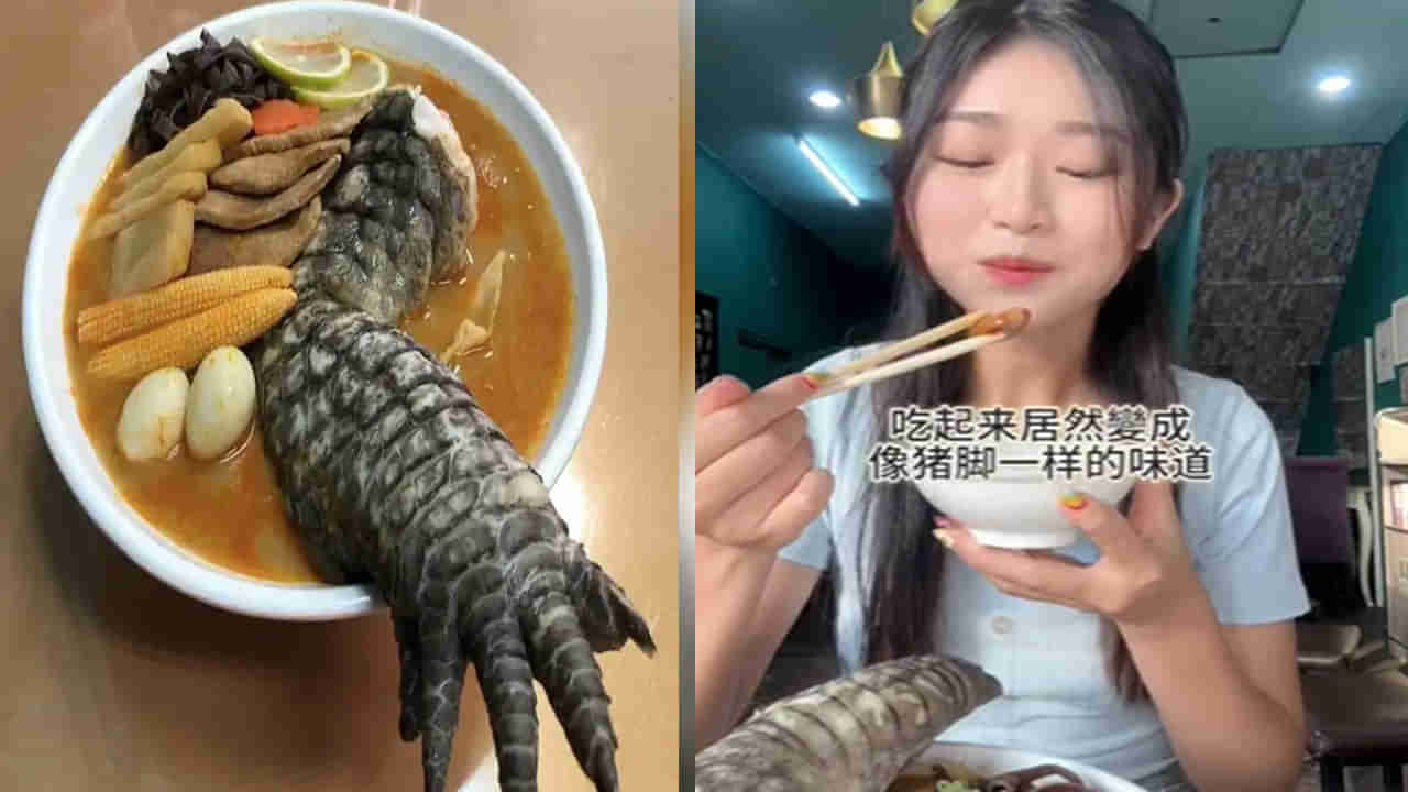 Godzilla Ramen: మొసలి పాదంతో నూడుల్స్‌.. ఈ విచిత్ర వంటకం తినే అదృష్టం ఇద్దరికి మాత్రమే.. ఎక్కడంటే..