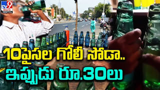 Viral Video: అరే బాబూ.. అది పిల్లిపిల్ల కాదు.. పులిపిల్ల..