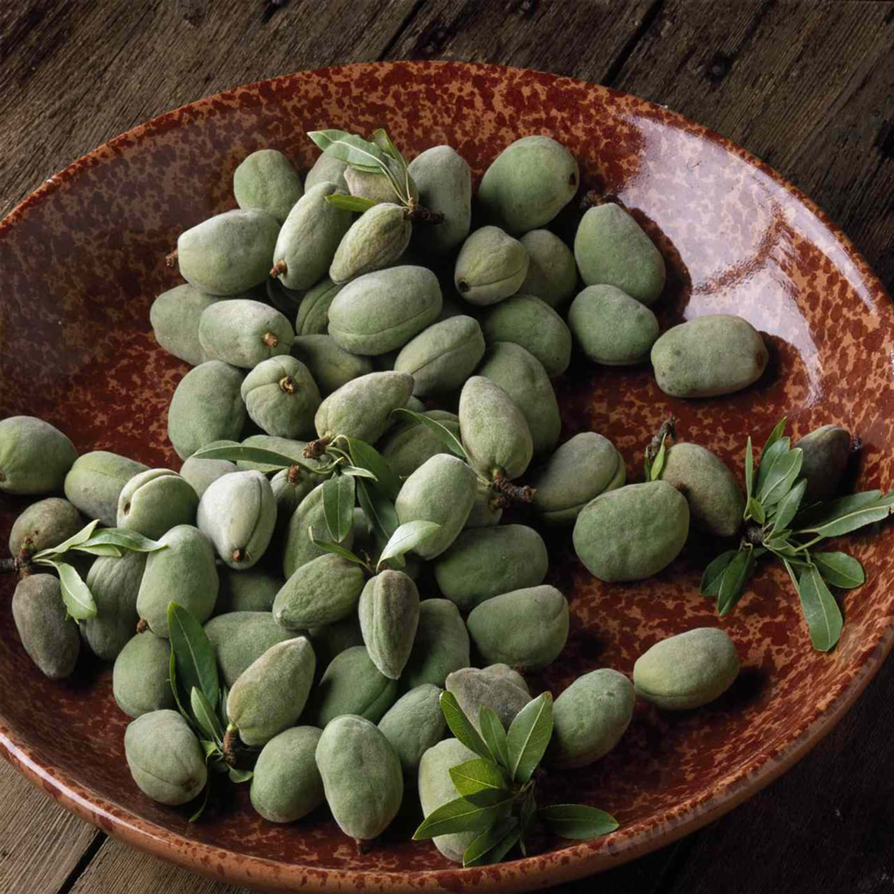 ప్రతి ఒక్కరూ బాదం పప్పును రకరకాలుగా తీసుకుంటారు. చాలా మంది పచ్చిగా తింటారు, కొందరు నానబెట్టి తినడానికి ఇష్టపడతారు. బాదంపప్పులో విటమిన్ ఇ, ఒమేగా 3 ఫ్యాటీ యాసిడ్స్, ఒమేగా 6 ఫ్యాటీ యాసిడ్స్, ప్రొటీన్స్, డైటరీ ఫైబర్ ఉంటాయి.