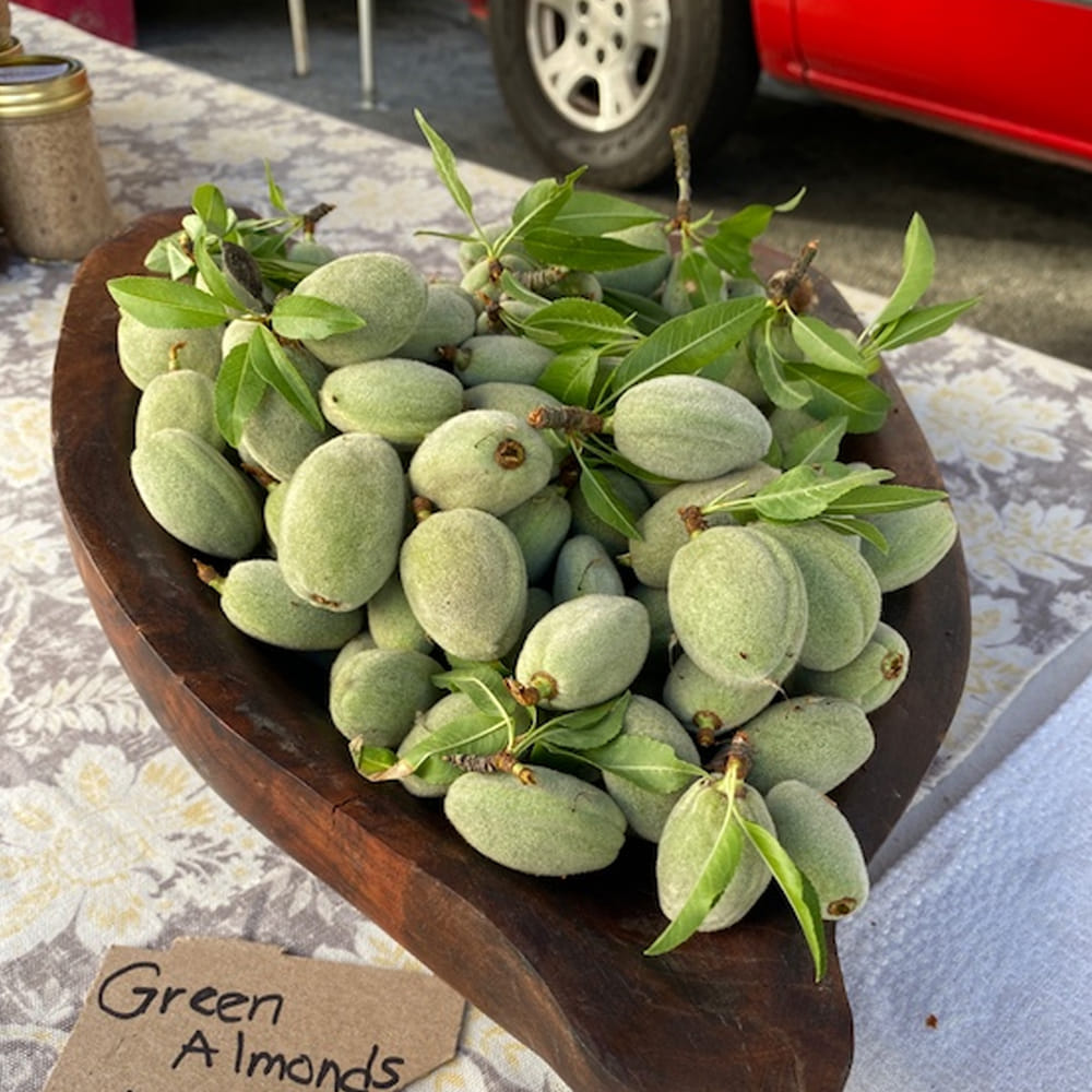 పోషకాల శోషణలో ఇబ్బందులు.. పచ్చి బాదం పప్పులను ఎక్కువగా తినడం వల్ల మన శరీరం కొన్ని రకాల పోషకాలు గ్రహించలేని పరిస్థితి ఏర్పడుతుంది. ఎందుకంటే ఆకుపచ్చ బాదంలో టానిన్ ఉంటుంది. ఇది మన జీవక్రియకు ఆటంకం కలిగిస్తుంది.