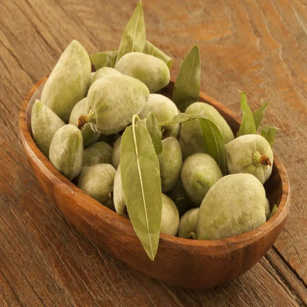 కిడ్నీ సమస్యలు.. బాదం పప్పు అతిగా తింటే.. కిడ్నీలో రాళ్లు ఏర్పడే ప్రమాదం ఉంది. ఇందులో ఆక్సలేట్ ఉన్నందున కిడ్నీ సమస్యలతో బాధపడేవారు బాదం పప్నును తినకూడదని వైద్యులు సూచిస్తారు.