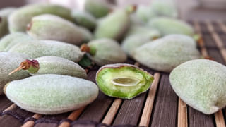 Hot Water with Jaggery Benefits: ఉదయాన్నే గోరు వెచ్చని నీటిలో బెల్లం కలిపి తాగడం వల్ల ఎన్నో ప్రయోజనాలు.. తెలిస్తే అస్సలు వదలరు..