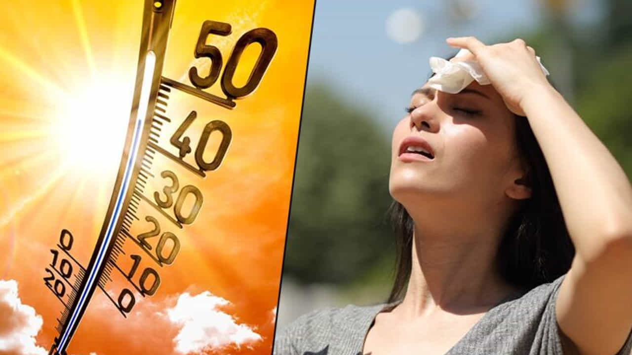 How to deal Heatwaves: నైరుతి రుతుపవనాలు ప్రవేశించినప్పటికీ భానుడి ప్రతాపం కొనసాగుతూనే ఉంది. రోజురోజుకూ పెరుగుతున్న ఉష్ణోగ్రతలతో ప్రజలు విలవిలలాడుతున్నారు. ఓ వైపు మాడు పగిలే ఎండలు.. మరోవైపు వడగాలులు, తీవ్ర ఉక్కపోతతో అల్లాడుతున్నారు. ఈ నాలుగైదు రోజుల్లోనే ఉత్తరభారతదేశంలో వడదెబ్బతో దాదాపు 100 మందికి పైగా మరణించినట్లు పేర్కొంటున్నారు. ఈ క్రమంలో వాతావరణ శాఖ అలర్ట్ జారీ చేసింది. సోమవారం, మంగళవారం ఎండల తీవ్రత ఎక్కువగా ఉంటుందని, జాగ్రత్తలు తీసుకుంటూ ప్రజలు అప్రమత్తంగా ఉండాలంటూ సూచించింది.