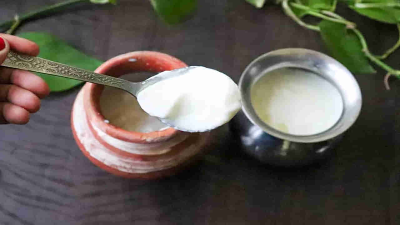 How To Make Curd: కేవలం 15 నిమిషాల్లో పెరుగు తయారు చేయాలంటే.. ఈ చిట్కాలు పాటించండి..