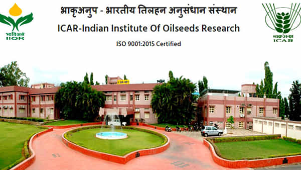 IIOR Recruitment: హైదరాబాద్లోని కేంద్ర ప్రభుత్వ సంస్థలో ఉద్యోగాలు.. దరఖాస్తులకు నేడే చివరి తేదీ.