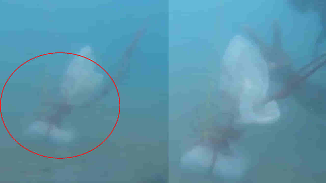 Viral: కోస్ట్‌గార్డ్ సిబ్బందిని చూసి పార్శిల్ నీటిలో వేసిన జాలర్లు.. మెరైన్‌ డైవర్లు దాన్ని వెతికి ఓపెన్ చేయగా