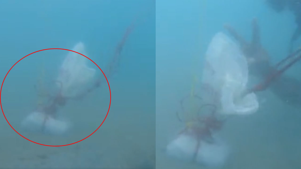 Viral: కోస్ట్గార్డ్ సిబ్బందిని చూసి పార్శిల్ నీటిలో వేసిన జాలర్లు.. మెరైన్ డైవర్లు దాన్ని వెతికి ఓపెన్ చేయగా