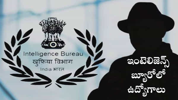 Intelligence Bureau Jobs: డిగ్రీ అర్హతతో కేంద్ర నిఘా సంస్థలో 797 ఉద్యోగాలకు నోటిఫికేషన్.. ఇలా ఎంపిక చేస్తారు..