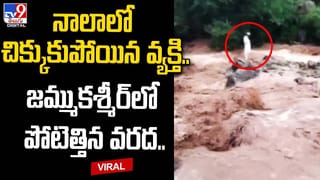 హాట్‌ ఎయిర్‌ బెలూన్‌లో మంటలు !! వ్యక్తి మృతి.. ఎక్కడంటే ??