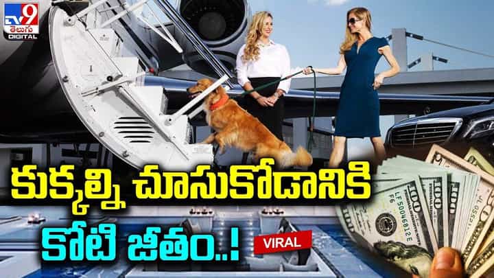 ఏడాదికి కోటి రూపాయల జీతం.. లగ్జరీ లైఫ్.. గుడ్ జాబ్ ఆఫర్.. ఏంటో తెలుసా ?? ఏడాదికి కోటి రూపాయల జీతం.. లగ్జరీ లైఫ్.. గుడ్ జాబ్ ఆఫర్.. ఏంటో తెలుసా ??