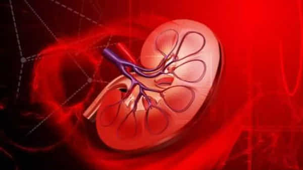 Kidney Rocket: ఏలూరులో వెలుగులోకి కిడ్నీ రాకెట్ దందా.. మహిళ కిడ్నీకి రూ.7 లక్షలు ఇస్తామని రూ.5 లక్షలు ఇచ్చి చేతులు దులుపుకున్న బ్రోకర్..