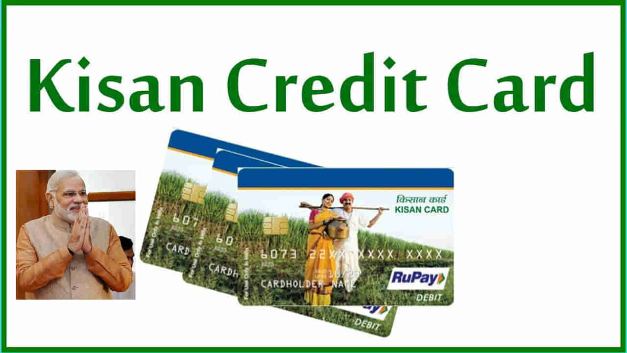 Kisan Credit Card Benefits: ఆవు, గేదెల పెంపకం కోసం క్రెడిట్ కార్డ్‌ను ఎలా ఉపయోగించుకోలి.. KKC ప్రయోజనాలు ఏంటంటే..