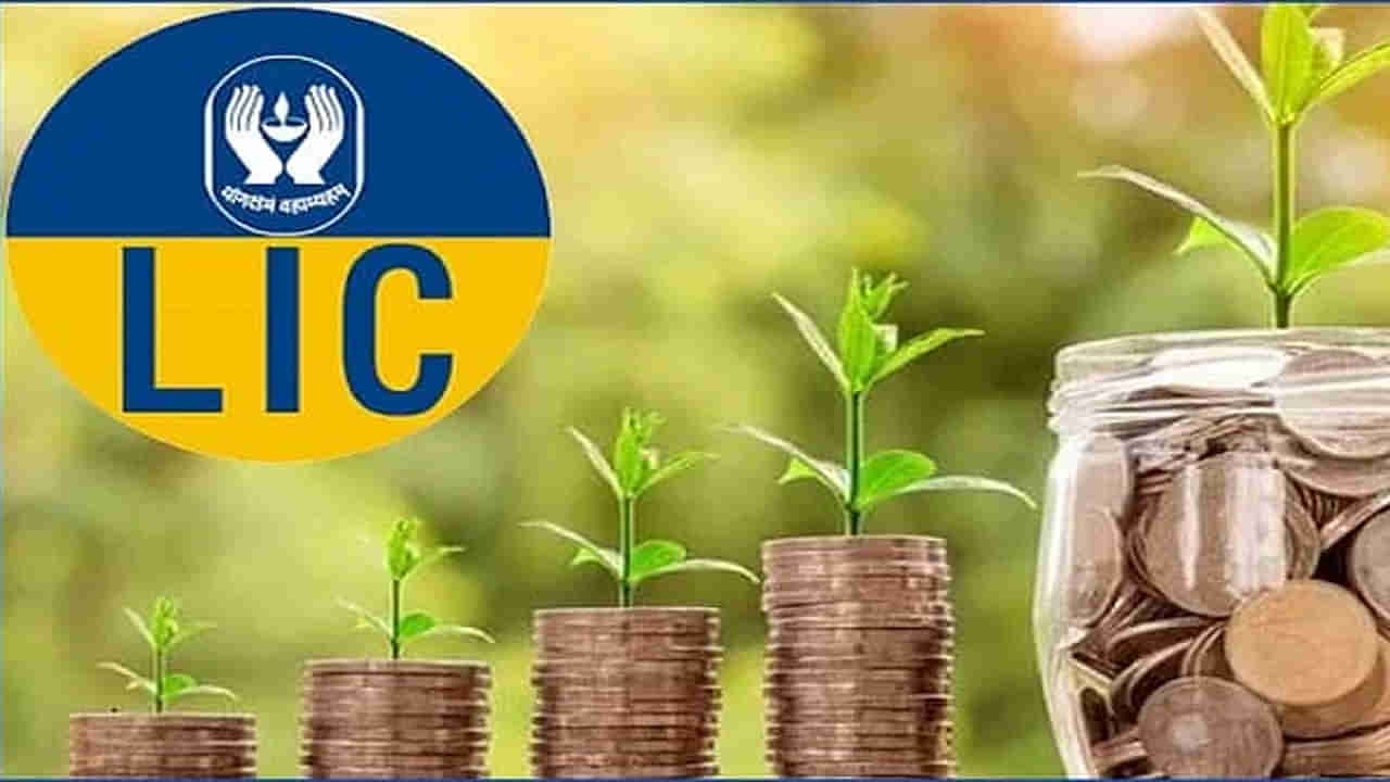 LIC New Policy: నెలకు ఐదు వేల  పెట్టుబడితో పది లక్షల రాబడి.. ఎల్‌ఐసీ అందించే ఈ పాలసీ గురించి తెలుసుకోవాల్సిందే