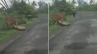 Kerosene Stove Pin: ఇదేమిటో మీలో ఎంతమందికి తెలుసు..? బాల్యం గుర్తుకొచ్చింది కదూ..!