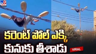 Viral: టాయిలెట్‌లో కూర్చున్న వ్యక్తికి గుండె ఆగినంత పనైంది.. కళ్లెదురుగా ఊహించని సీన్..