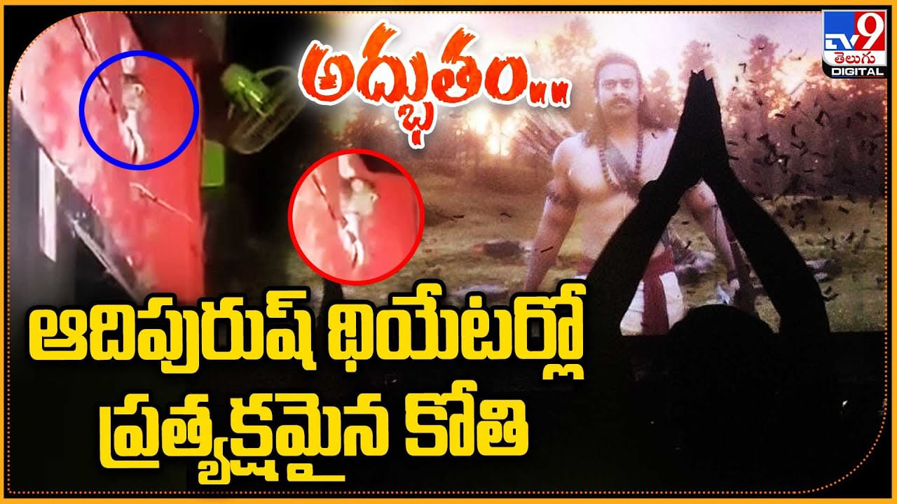 Monkey watch Adipurush: అద్భుతం..! ఆదిపురుష్ థియేటర్లో ప్రత్యక్షమైన కోతి.. వీడియో.