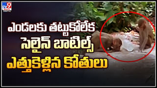 Apsara Incident: అప్సర ఎపిసోడ్ లో రోజుకో కొత్త కోణం.. ఒక్కొక్కటిగా బయటపడుతున్న అప్సర వ్యవహారాలు..