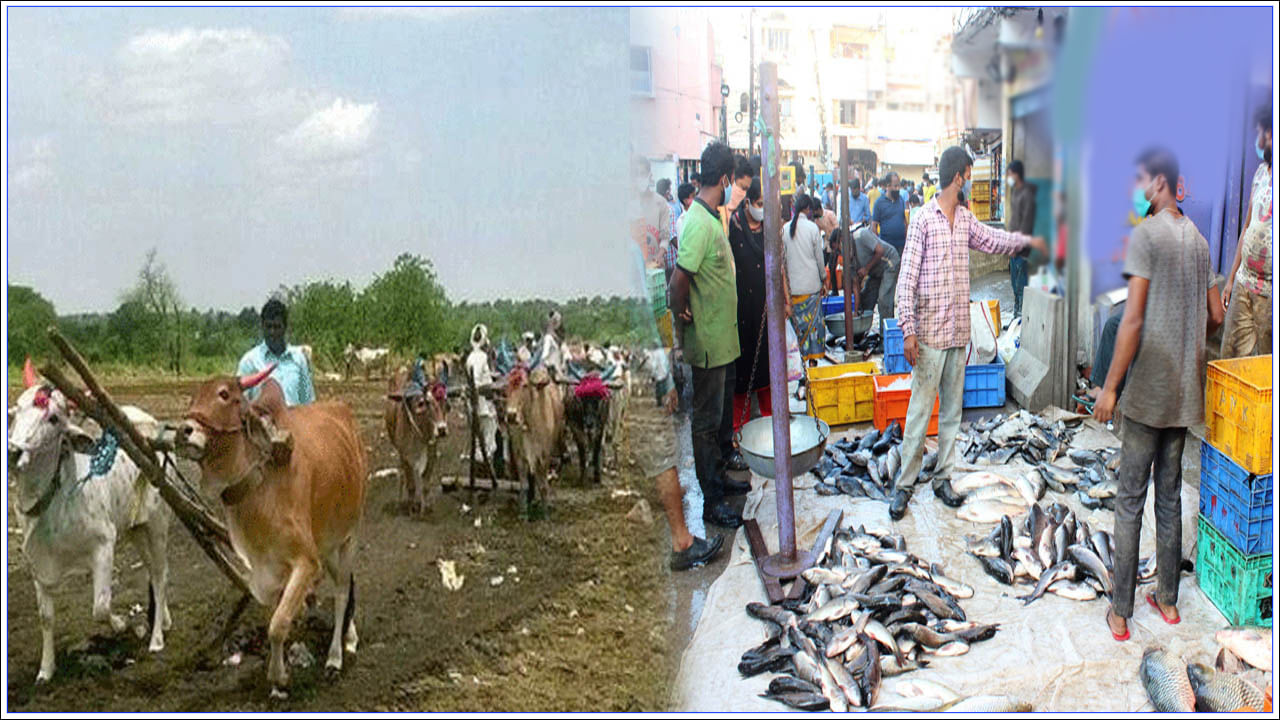 Mrigasira Karthi 2023: మృగశిర కార్తెను ఎందుకు జరుపుకొంటారు.. చేపలకు ఎందుకంత ప్రాముఖ్యత